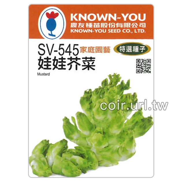 娃娃芥菜種子 Mustard 人蔘菜 抱子芥菜 抱子菜