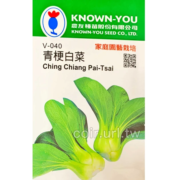 青梗白菜（青江菜、湯匙菜）種子