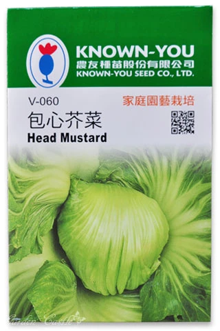 包心芥菜~Head Mustard~種子