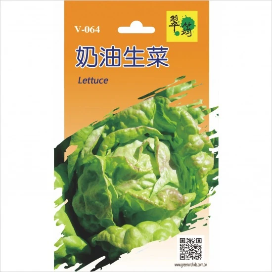 奶油萵苣（奶油生菜）Lettuce~種子