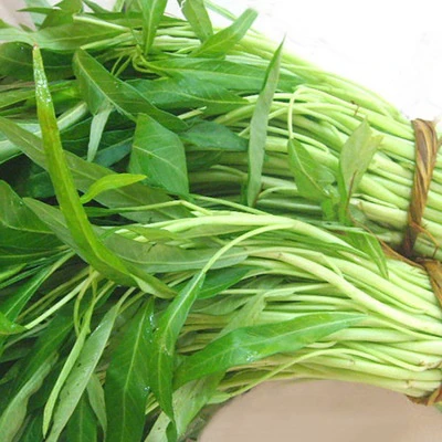 白莖蕹菜(白骨空心菜)種子