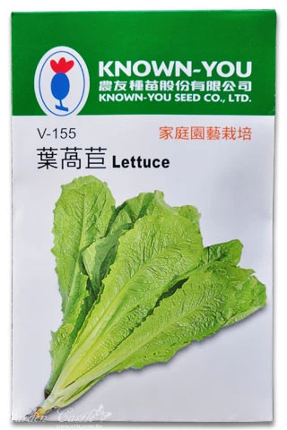 葉萵苣(A菜、妹仔菜)種子