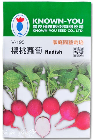 櫻桃蘿蔔~Radish種子