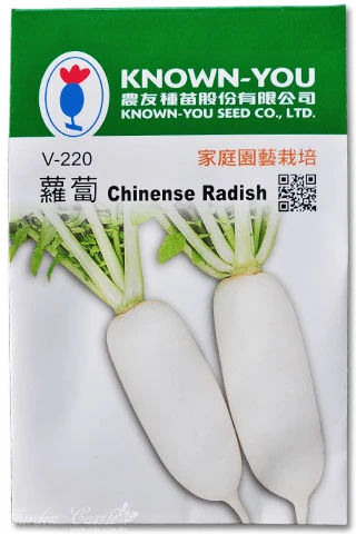 白蘿蔔(菜頭)~Chinense Radish