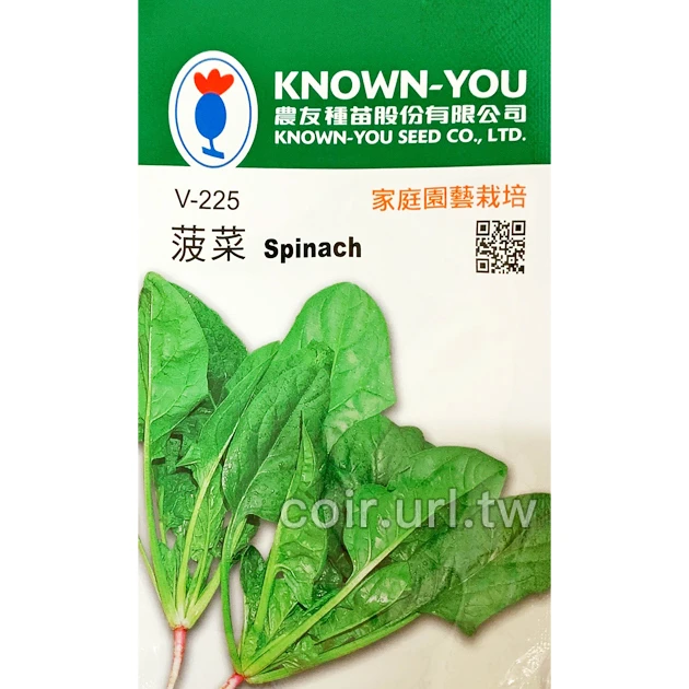 菠菜種子~Spinach 波菜