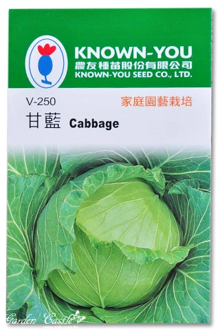 甘藍(高麗菜) Cabbage~種子