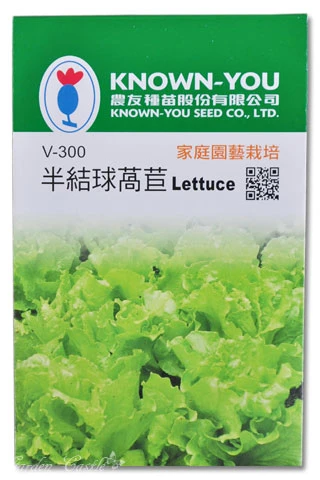 半結球萵苣(大陸妹.福山萵苣)~Lettuce