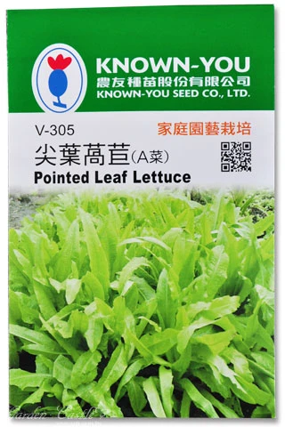 尖葉萵苣(A菜)~Pointed Leaf Lettuce