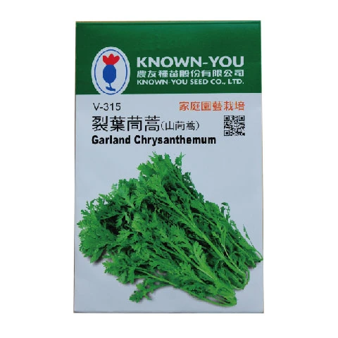 裂葉茼蒿(山茼蒿)春菊~Garland Chrysanthemum