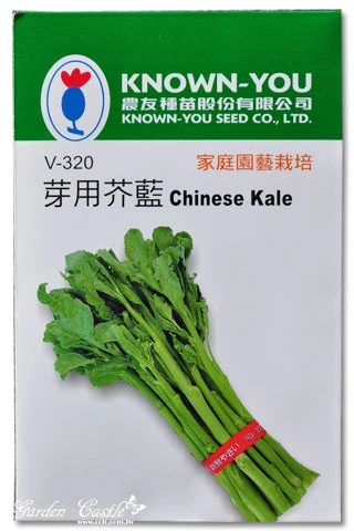芽用芥藍(芥蘭)~Chinese Kale
