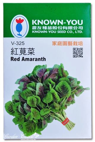 紅莧菜~Red Amaranth