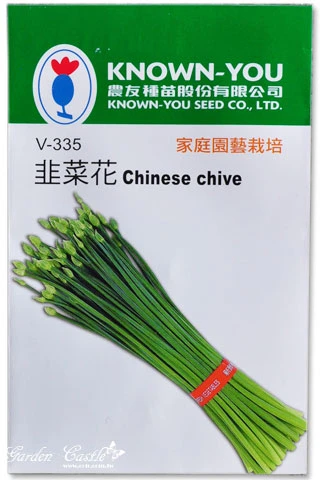 韭菜花Chinese chive~種子 採收花苔專用韭菜