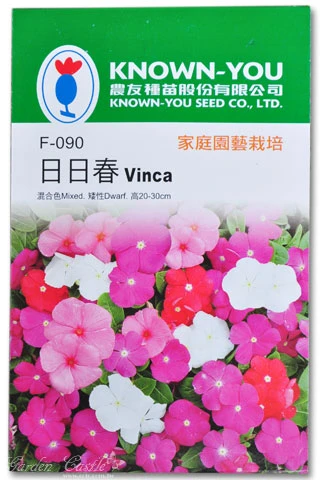 日日春~混合色~Vinca(矮性20~30cm)