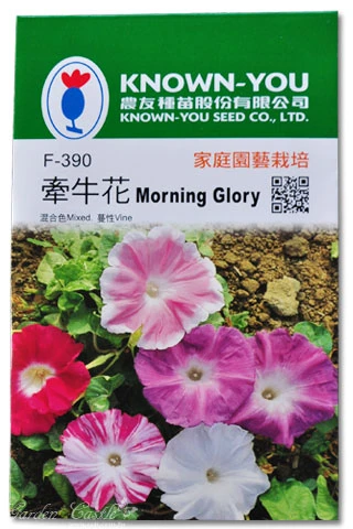 牽牛花~混合色