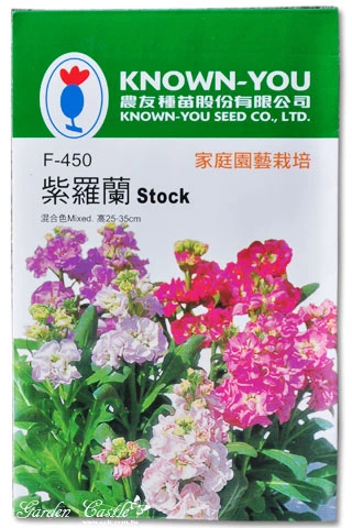 紫羅蘭~Stock