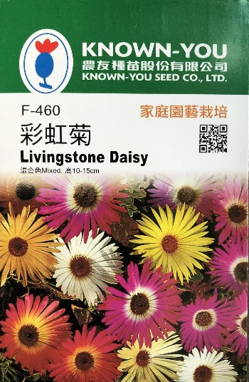 彩虹菊種子(松葉雛菊) Livingstone Daisy 觀花型多肉植物