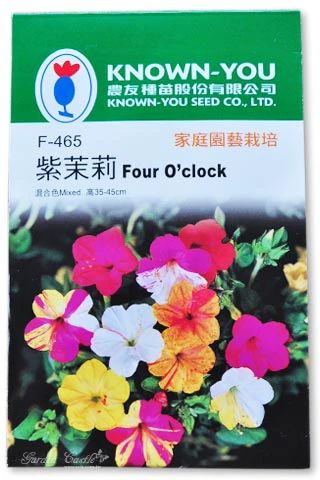 紫茉莉(煮飯花)~混合色~Four O'clock