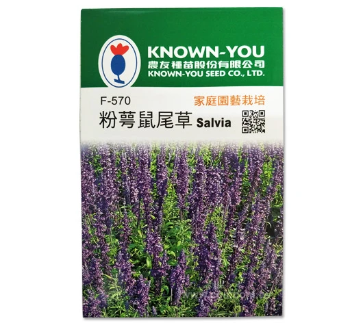 粉萼鼠尾草~Salvia