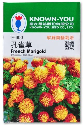孔雀草種子 French Marigold