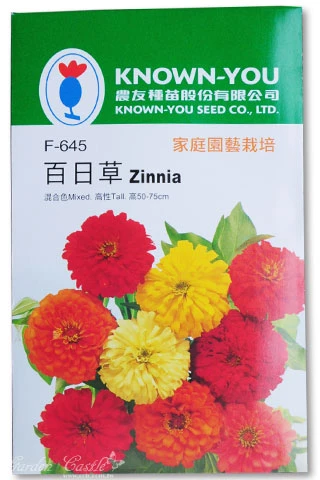 百日草~混合色