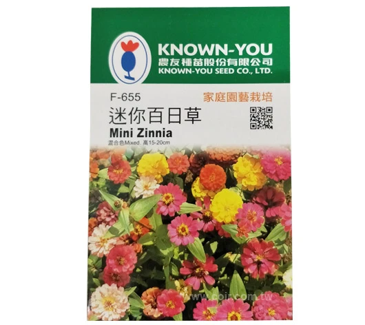迷你百日草種子～Mini Zinnia