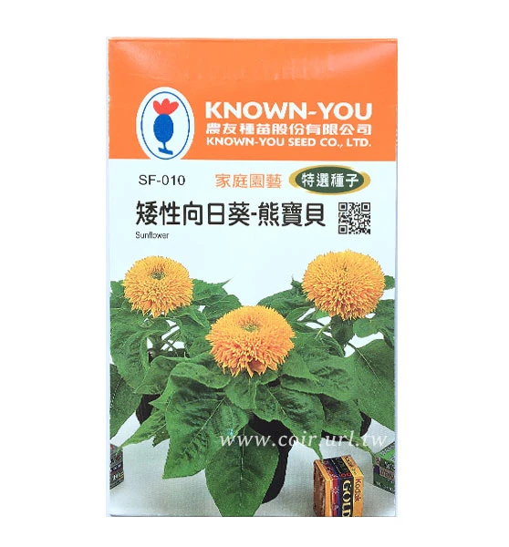 向日葵種子～矮性「熊寶貝」