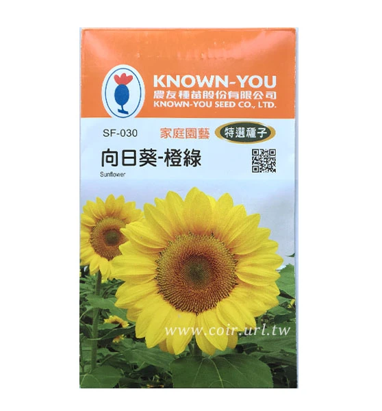 向日葵種子～「橙綠」