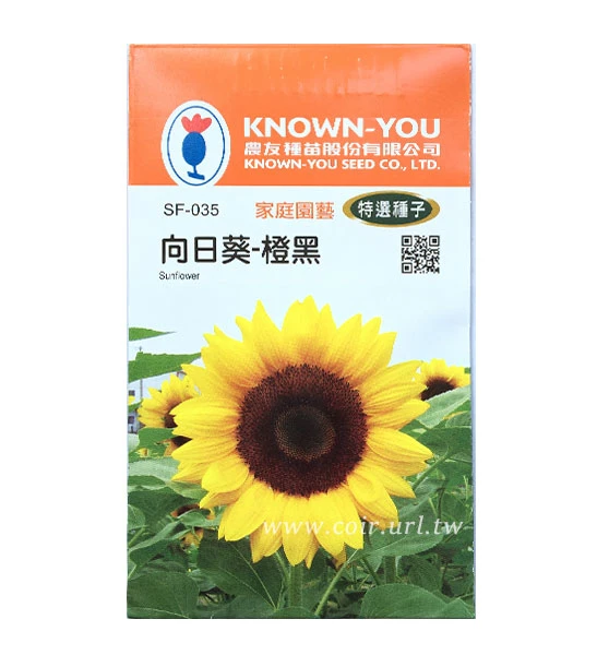 向日葵種子～「橙黑」花瓣鮮橙色