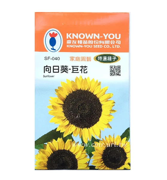 向日葵種子～「巨花」花徑約23公分