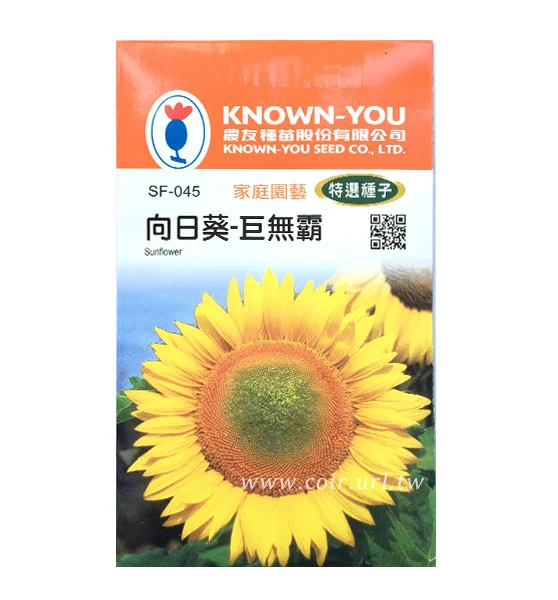 向日葵種子~「巨無霸」