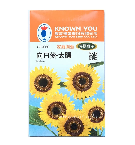向日葵種子～「太陽」花海品種