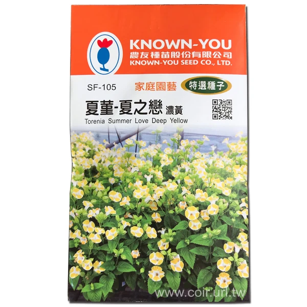 夏菫種子-夏之戀 濃黃