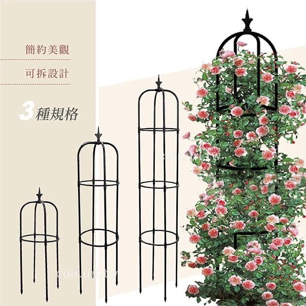 園藝支架組合 玫瑰花架月季鐵線蓮攀爬架