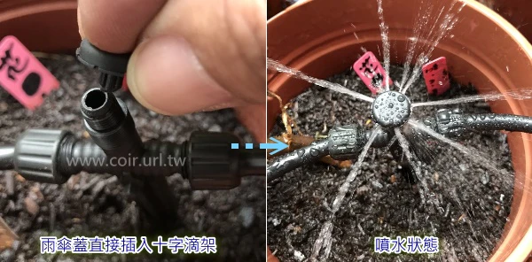 滴灌零件~雨傘蓋噴頭a03L(十字滴架專用)5個/組