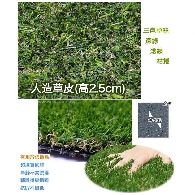 ☆仿真人工草皮~高2.5cm(寬100cm) 人造草坪