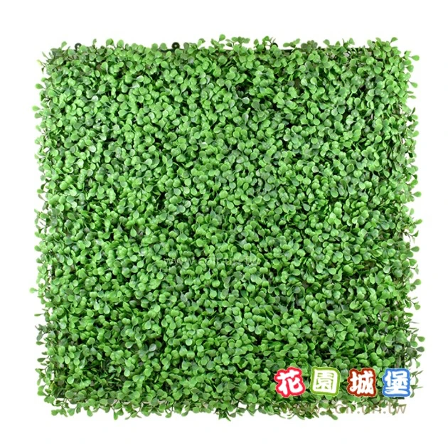 仿真植物牆~七里香50cmx50cm