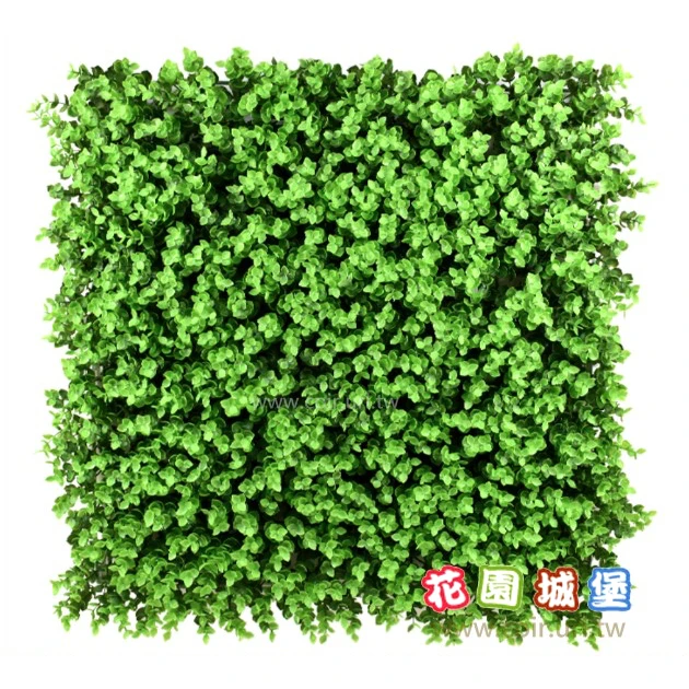 仿真植物牆 綠籬~小尤加利葉50cmx50cm
