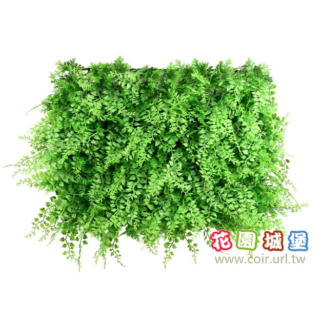 仿真植物牆~富貴什錦葉(蕨類)50cmx50cm