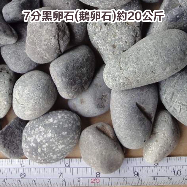 7分黑卵石(鵝卵石)約20公斤