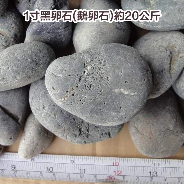 1寸黑卵石(鵝卵石)約20公斤