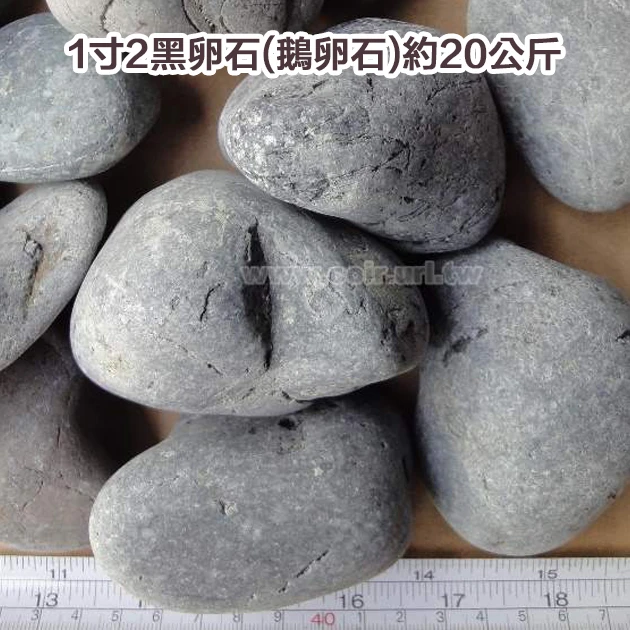1寸2黑卵石(鵝卵石)約20公斤