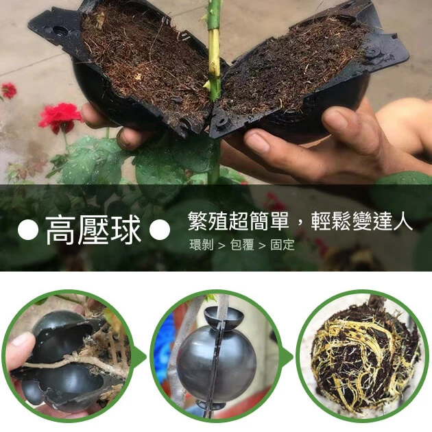 高壓繁殖盒 高壓球 木本枝條高壓盒 5個入/包