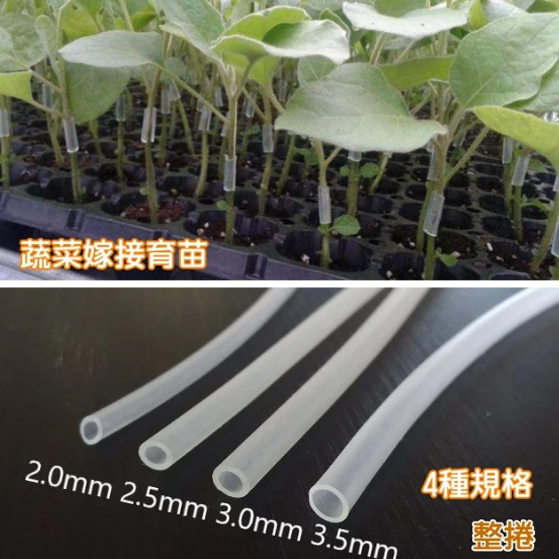 橡膠嫁接套管 (茄科蔬菜嫁接雞腸、橡膠套管)長300cm
