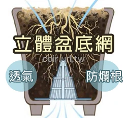 立體盆底網（ 5入/包）花盆底部錐形墊片透水透氣防爛根.水耕籃