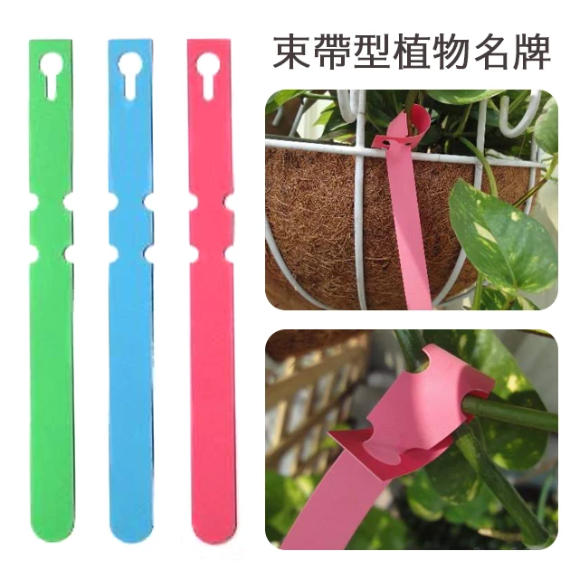 束帶型植物名牌(17.5cm)100片/小包