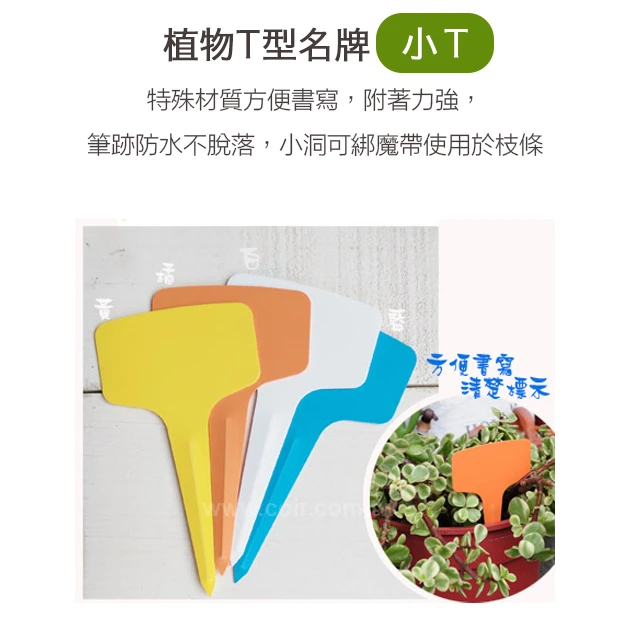 植物T型名牌-小Ｔ(100片/包)