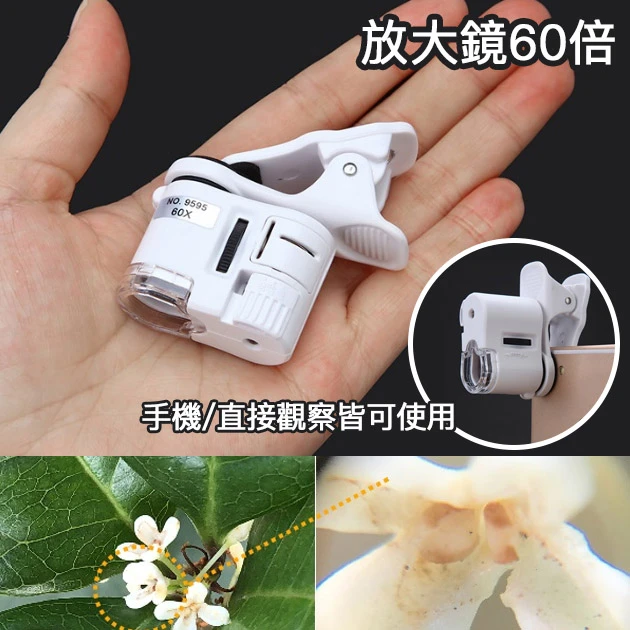 手機用放大鏡60倍(LED燈 UV驗鈔燈)