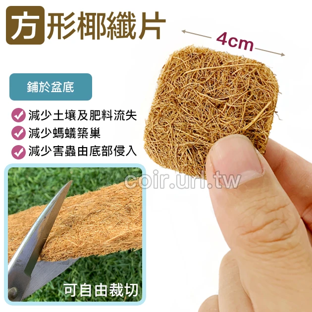 方形椰纖片(4x4cm) 椰纖墊片花盆網片