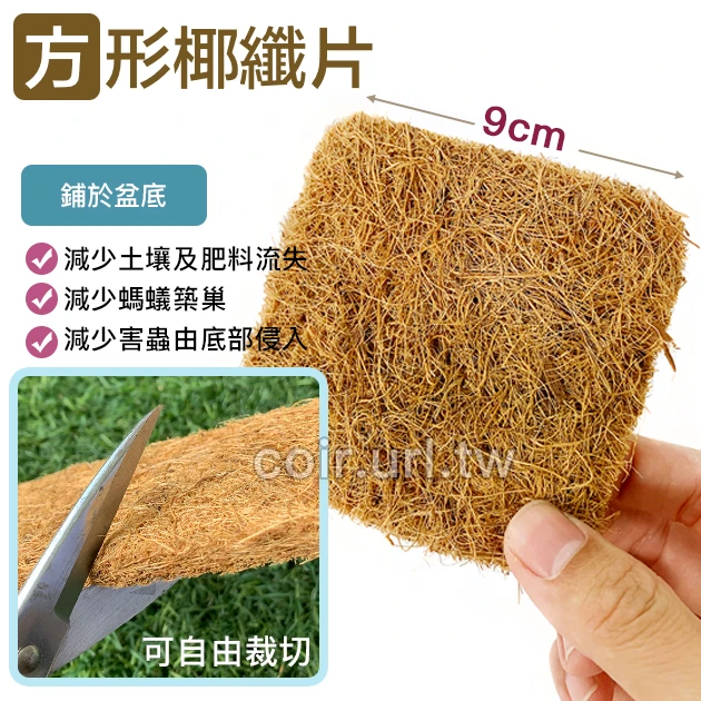 方形椰纖片(9x9cm) 椰纖墊片花盆網片