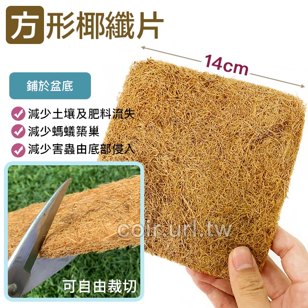 方形椰纖片(14x14cm) 椰纖墊片花盆網片